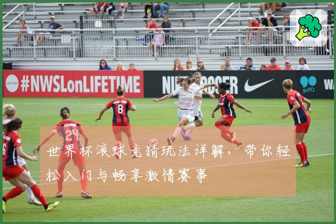 世界杯滚球竞猜玩法详解，带你轻松入门与畅享激情赛事