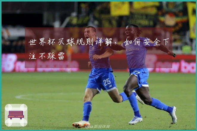 世界杯买球规则详解，如何安全下注不踩雷