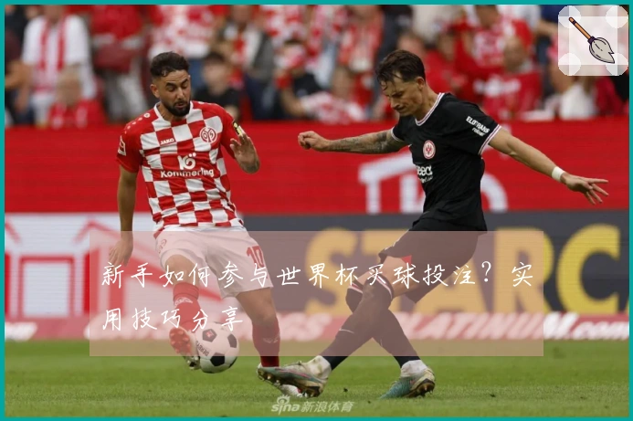 新手如何参与世界杯买球投注？实用技巧分享
