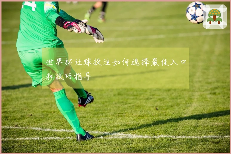 世界杯让球投注如何选择最佳入口和技巧指导