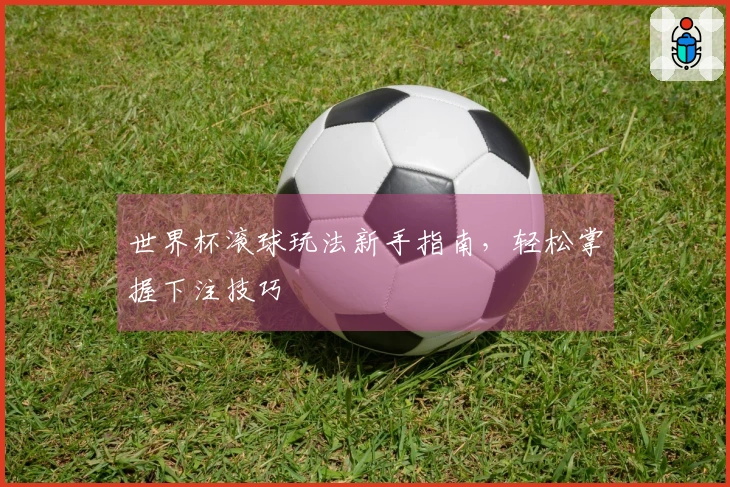 世界杯滚球玩法新手指南，轻松掌握下注技巧