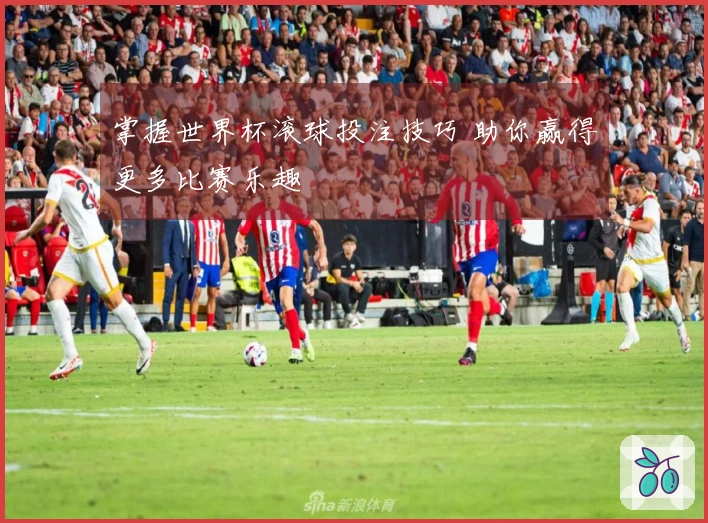 掌握世界杯滚球投注技巧 助你赢得更多比赛乐趣