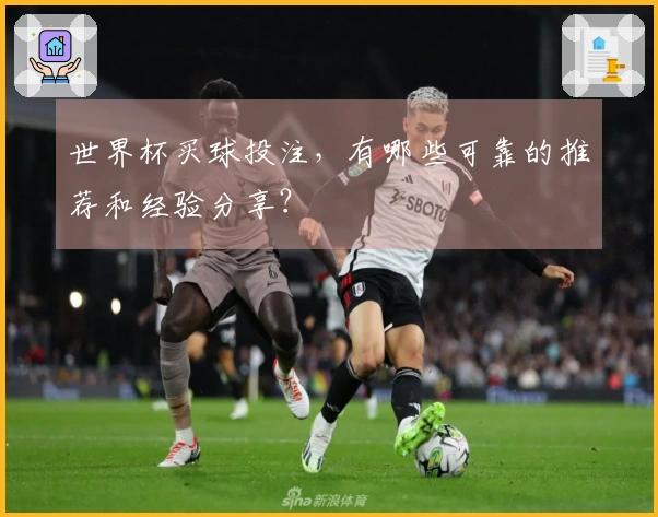 世界杯买球投注，有哪些可靠的推荐和经验分享？