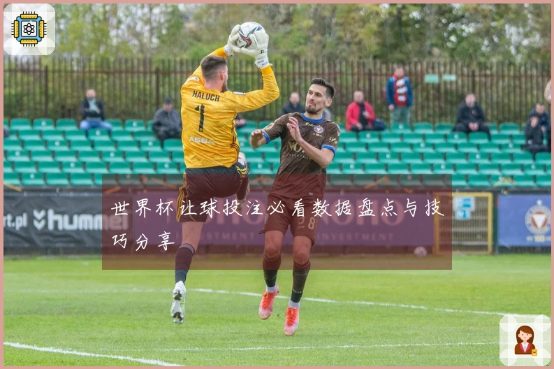 世界杯让球投注必看数据盘点与技巧分享