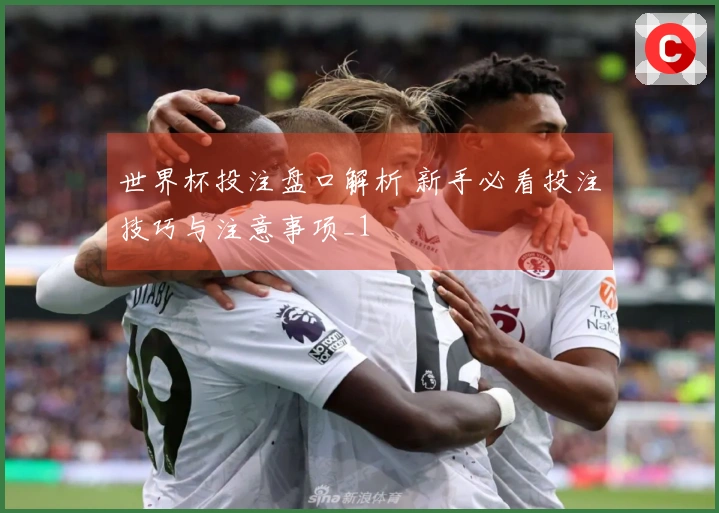 世界杯投注盘口解析 新手必看投注技巧与注意事项_1