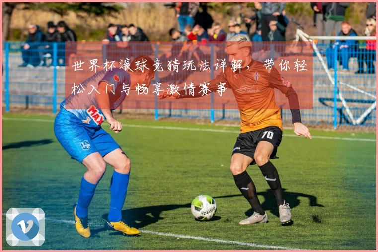 世界杯滚球竞猜玩法详解，带你轻松入门与畅享激情赛事