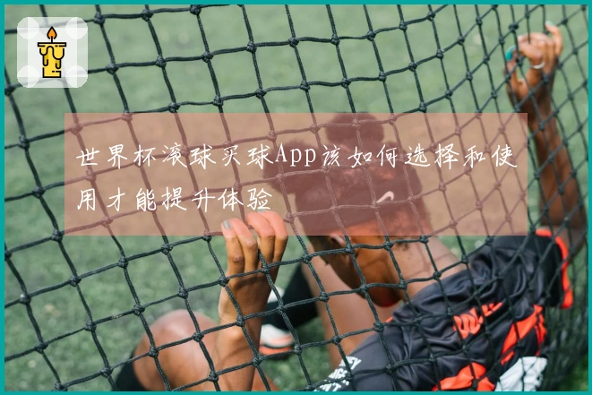 世界杯滚球买球App该如何选择和使用才能提升体验