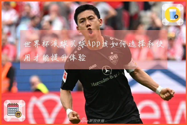 世界杯滚球买球App该如何选择和使用才能提升体验