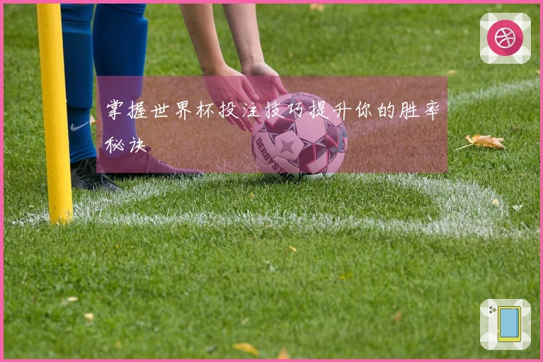 掌握世界杯投注技巧提升你的胜率秘诀
