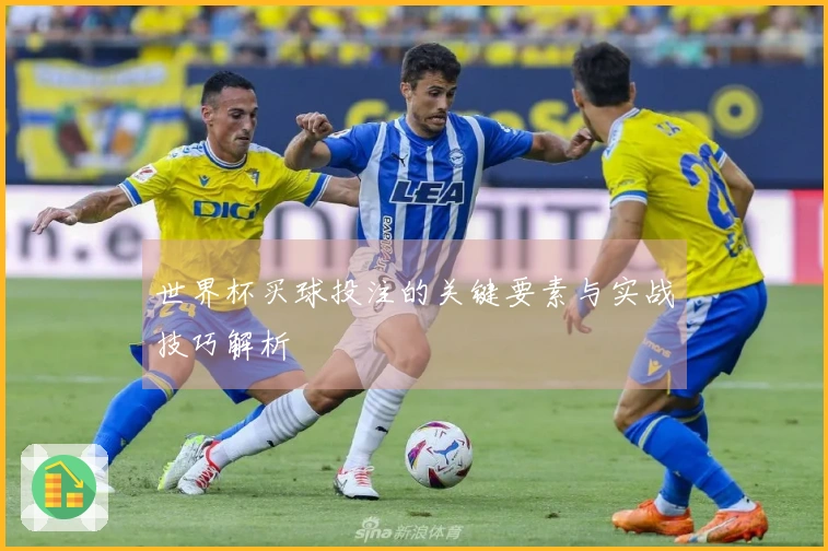 世界杯买球投注的关键要素与实战技巧解析